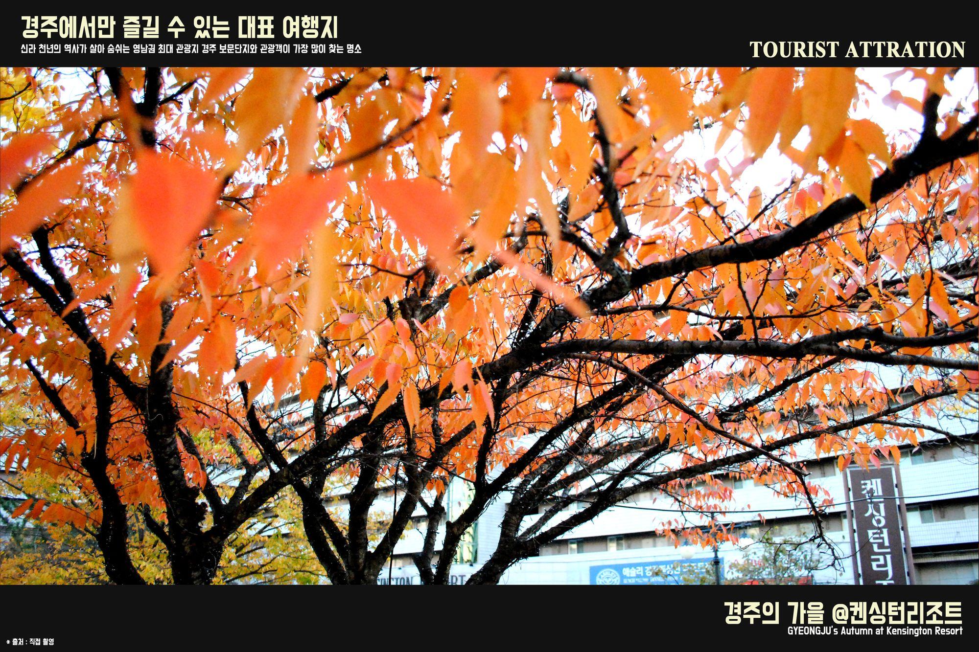 Kensington Resort Gyeongju Luaran gambar